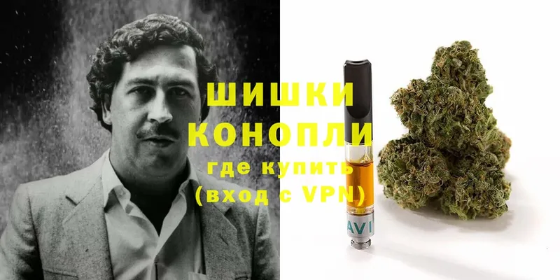 Конопля SATIVA & INDICA  Нижняя Салда 